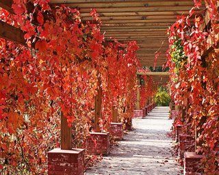 Beijing Jinyu Badaling Hot Spring Resort Xiaohetun 외부 사진